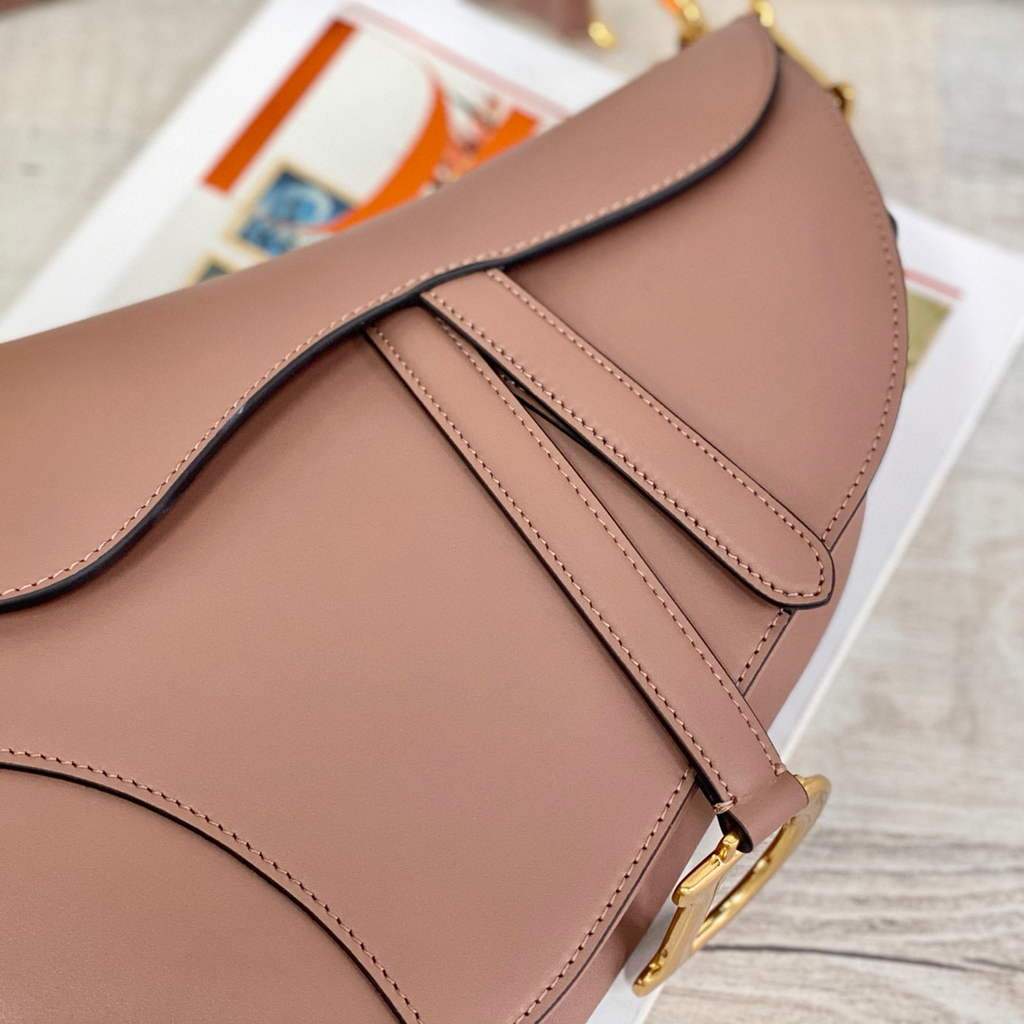 Dior M0446 Dior Saddle Bag M0447 Light Pink Goatskin Gold Hardware | voguebags.ru 65
