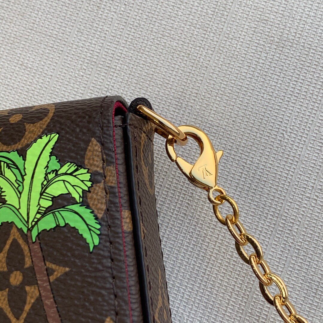 LV M80859 Louis Vuitton Felicie Pochette Monogram | lv m80859 louis vuitton felicie pochette monogram 15