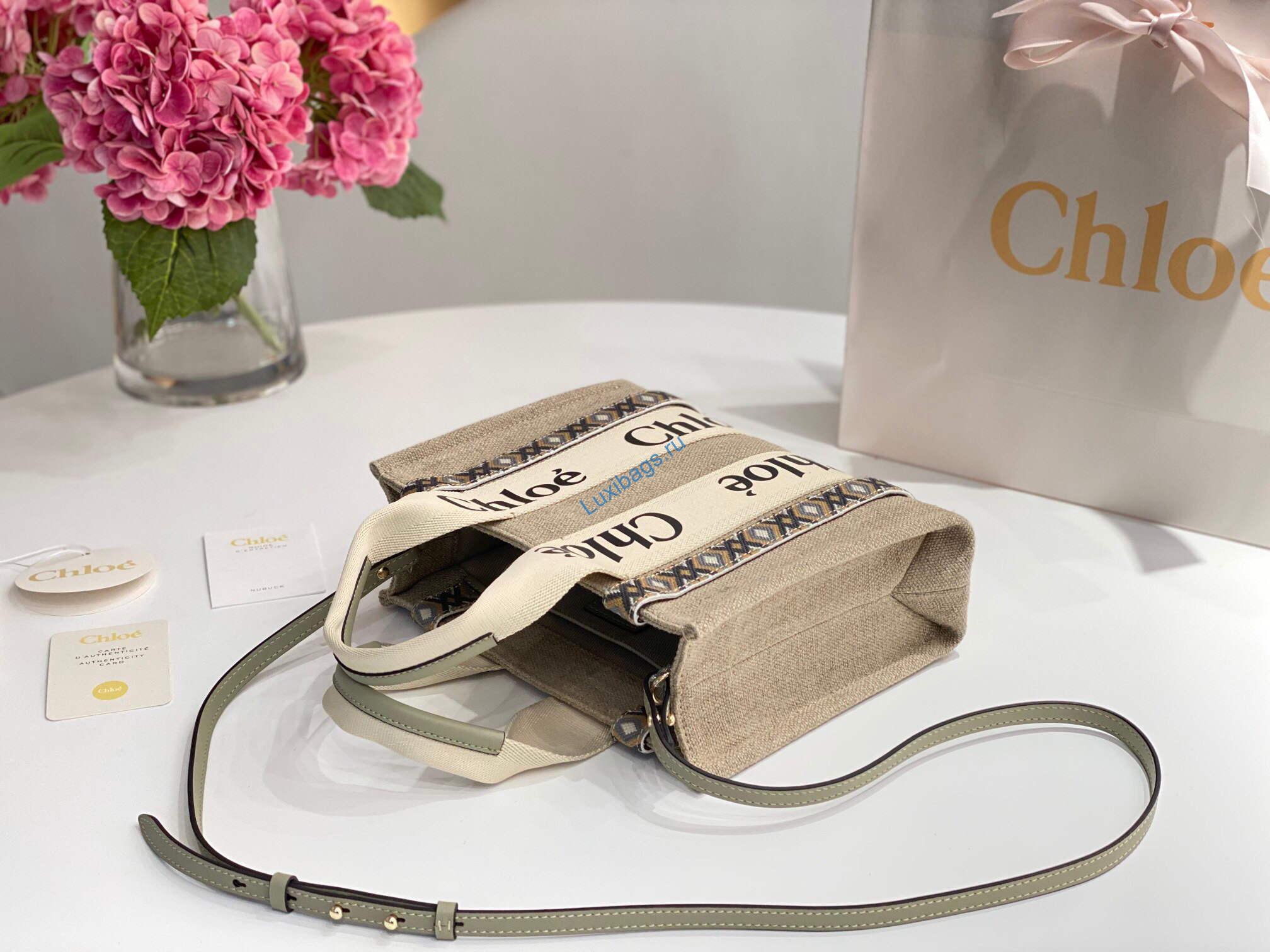 Chloe 385E6690U Small Woody Tote Bag Green | luxibags.ru 1466
