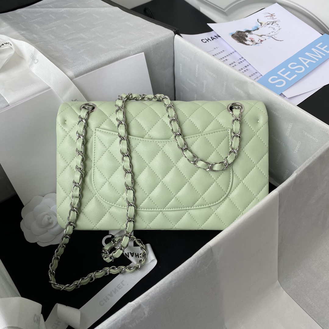 Chanel A01112 Flap Handbag Classic Bag Lambskin Light Green Silver | chanel a01112 flap handbag classic bag lambskin light 002