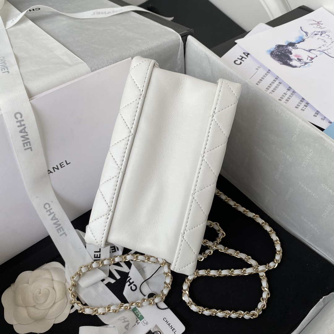 Chanel AS3344 Small Vanity Case Calfskin & Gold-Tone Metal White | chanel as3344 small vanity case calfskin gold tone metal white 005
