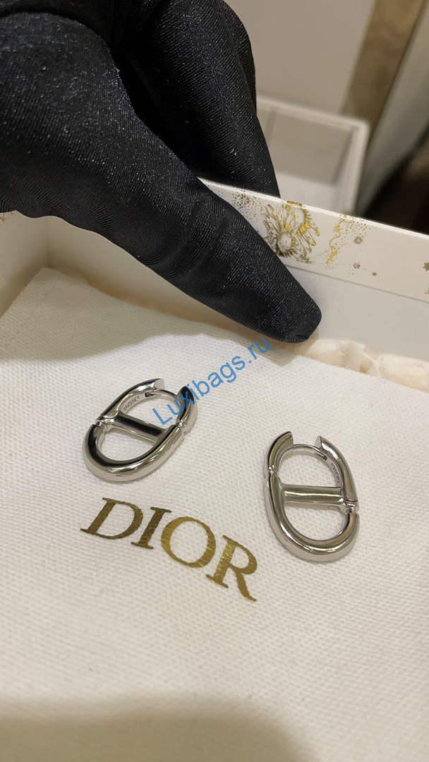 Dior E2113 CD Navy Earrings D99133 | dior e2113 cd navy earrings d99133 001
