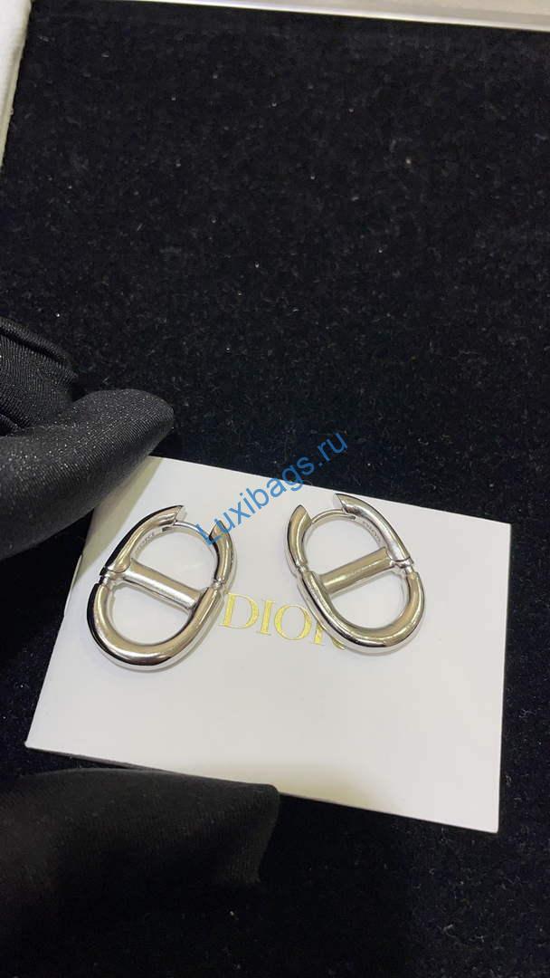 Dior E2113 CD Navy Earrings D99133 | dior e2113 cd navy earrings d99133 002