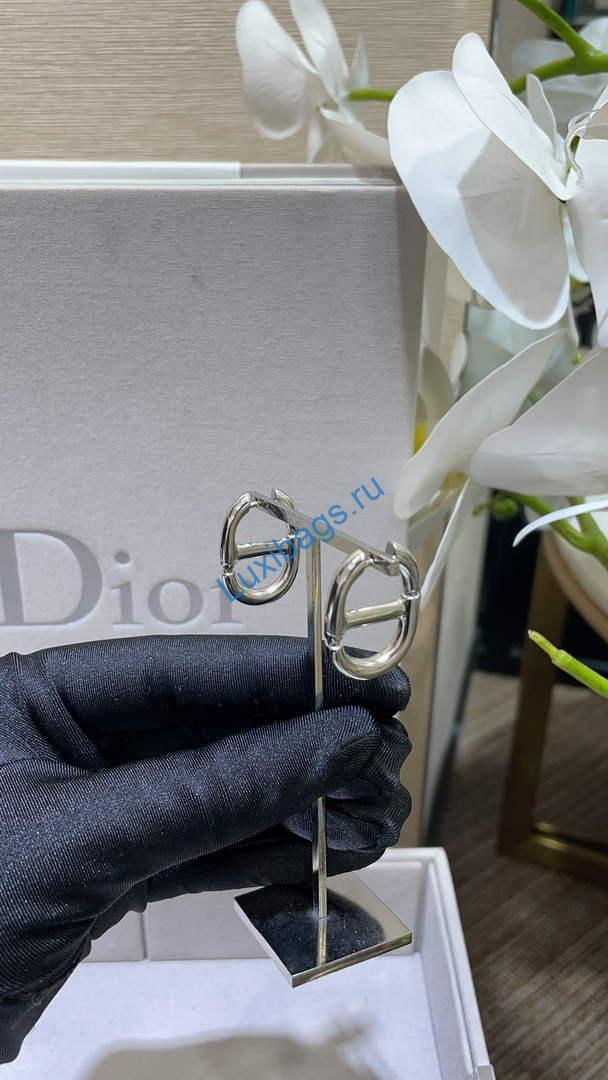 Dior E2113 CD Navy Earrings D99133 | dior e2113 cd navy earrings d99133 004