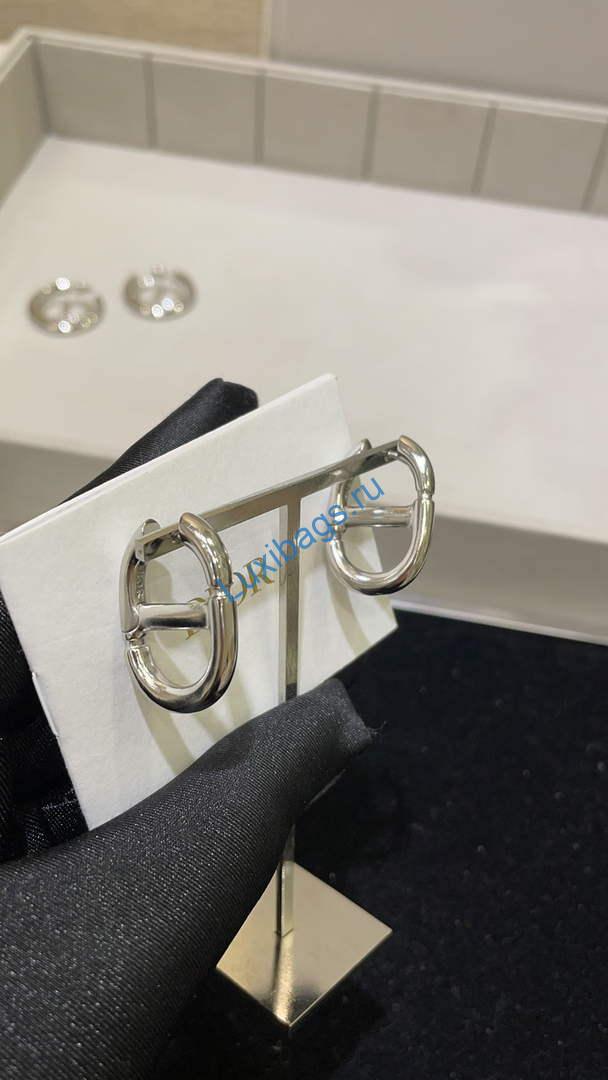 Dior E2113 CD Navy Earrings D99133 | dior e2113 cd navy earrings d99133 005