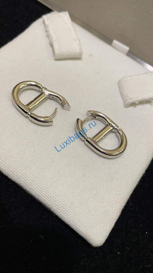 Dior E2113 CD Navy Earrings D99133 | dior e2113 cd navy earrings d99133 006