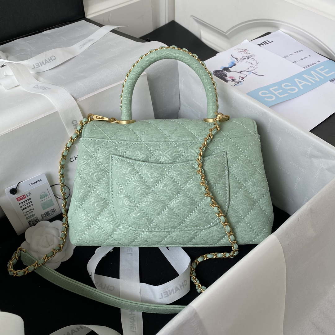 Chanel 23P Medium Flap Bag With Brown Top Handle Bag A92990 Green | chanel 23p medium flap bag with brown top handle bag a92990 green 002