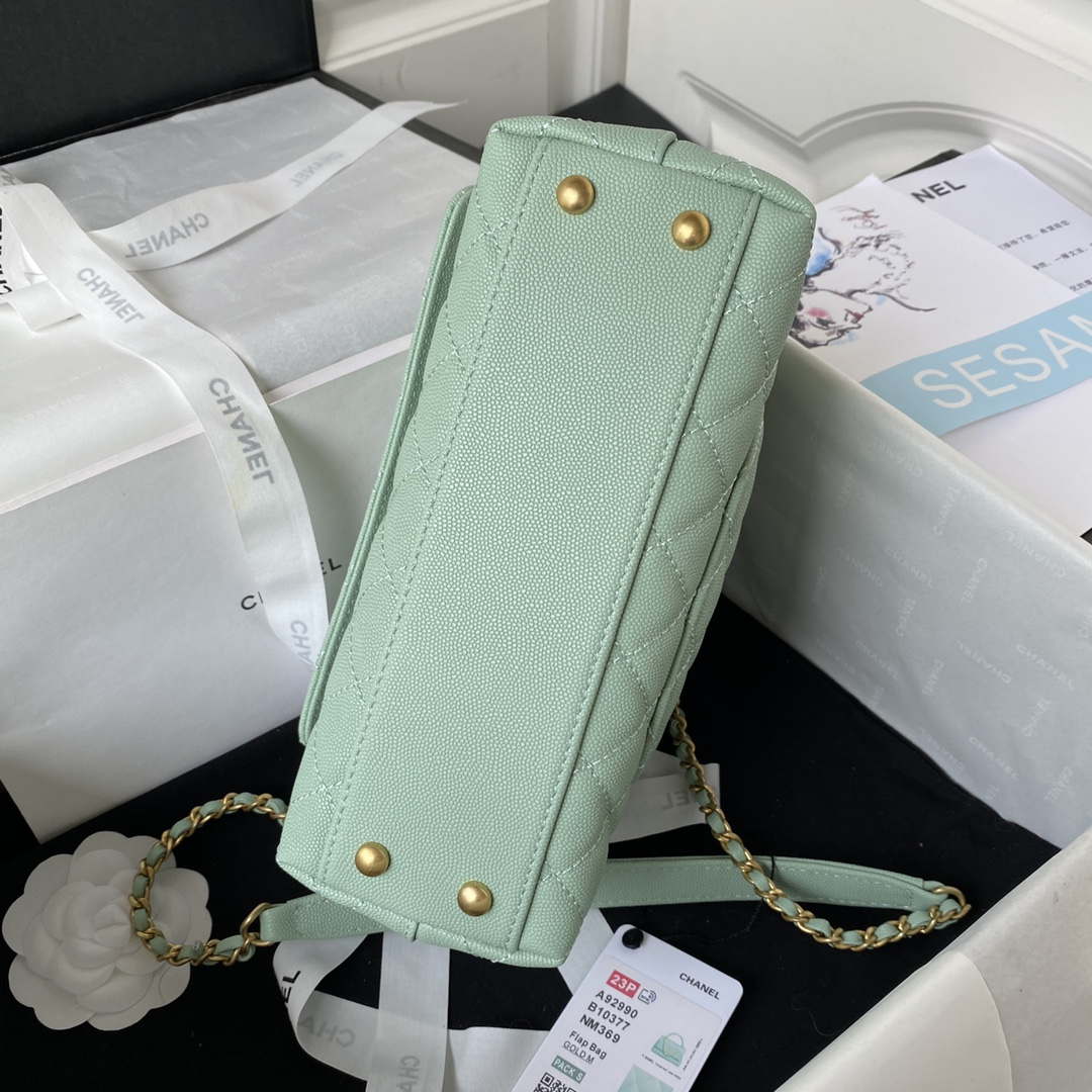 Chanel 23P Medium Flap Bag With Brown Top Handle Bag A92990 Green | chanel 23p medium flap bag with brown top handle bag a92990 green 006