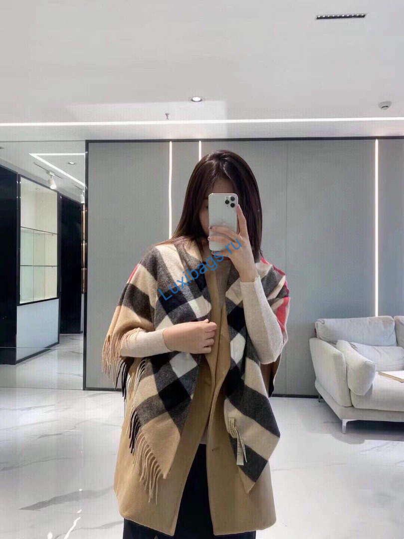 Burberry Scarves Classic Scarf B87409