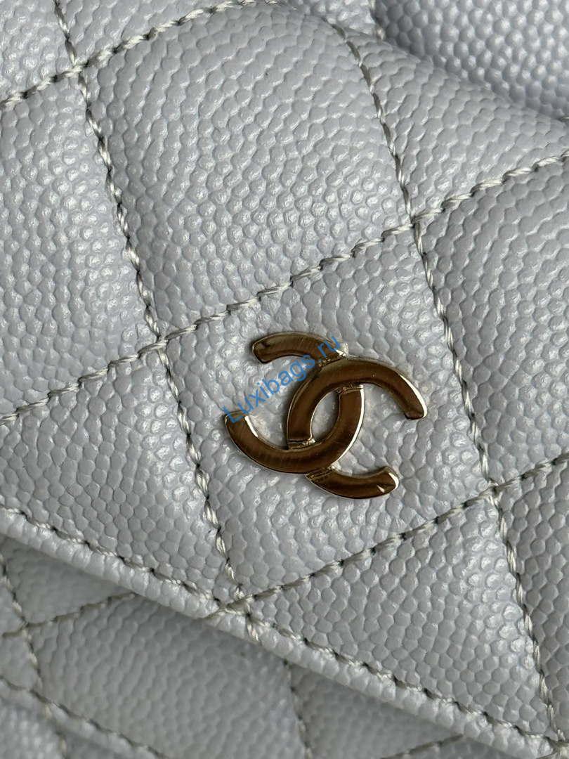 Chanel Ap3753 CLASSIC MINI Backpack Calfskin Gray Purple | chanel ap3753 classic mini backpack calfskin gray purple 06