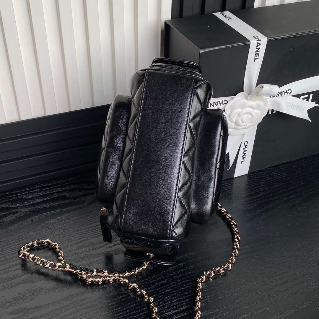 Chanel AS5220 Small Camera Case Bag Black | chanel as5220 small camera case bag 40