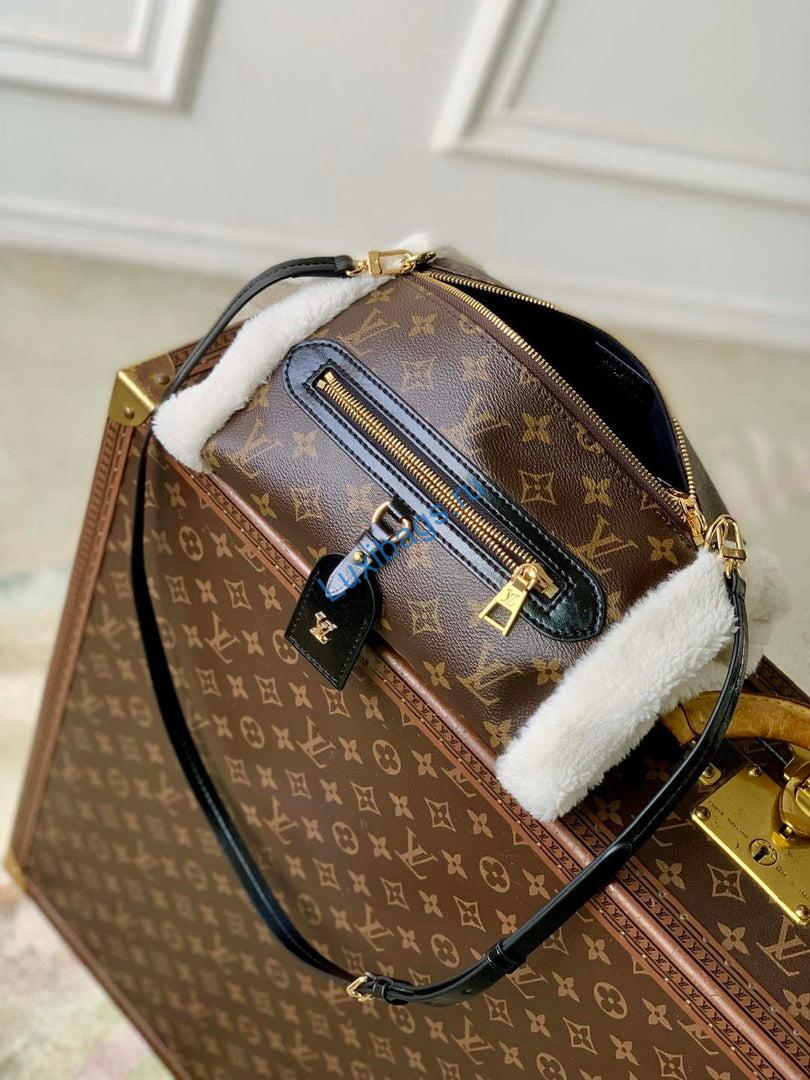 Louis Vuitton LV M26853 Teddy Mitt Bag | louis vuitton lv m26853 teddy mitt bag 9