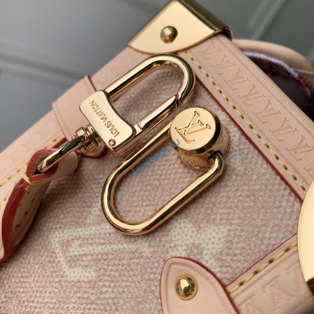 LV M15154 Louis Vuitton Side Trunk GM Bag Meowgram coated canvas | lv m15154 louis vuitton side trunk gm bag meowgram coated canvas 7