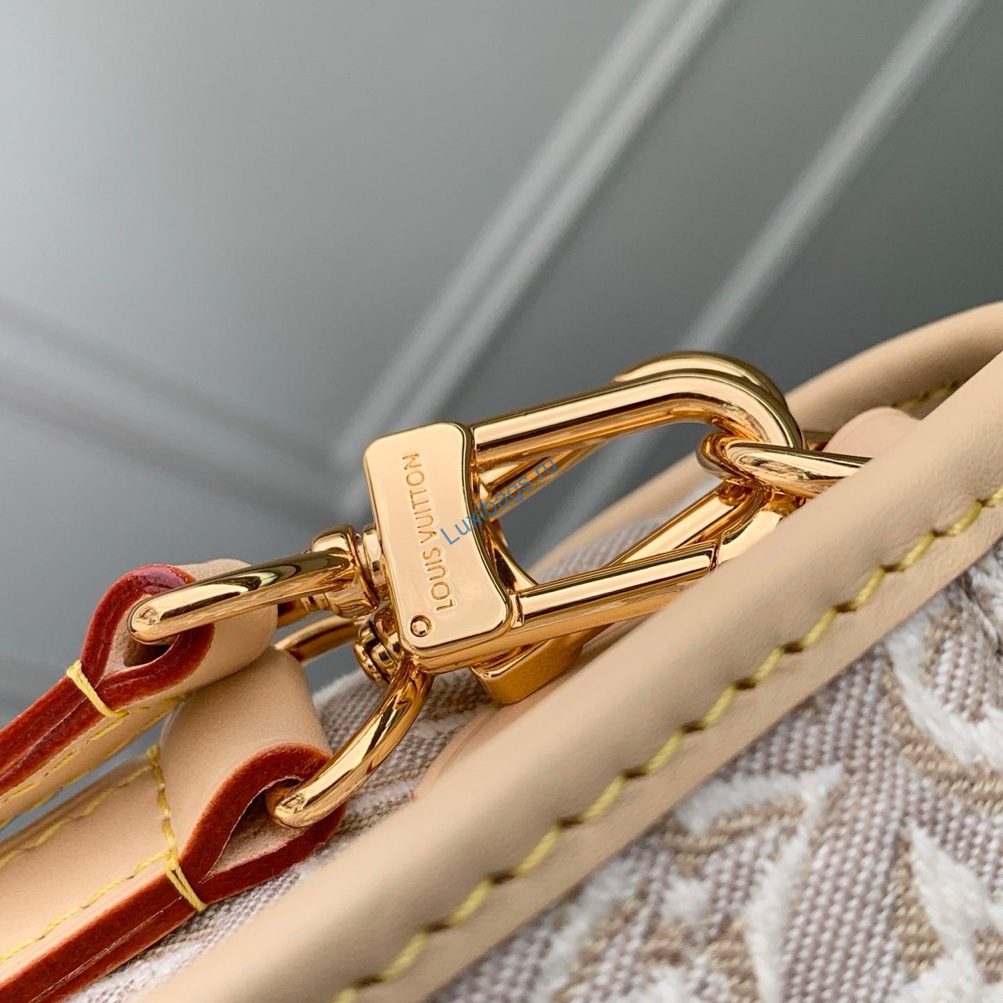 Louis Vuitton LV M29795 Diane PM Bag | diane pm autres toiles monogram nvprod7830221v M29795 6